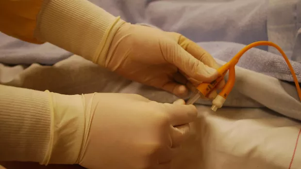 Gloved hands holding a catheter
