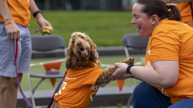 A dog in an MS Society t-shirt stares at the camera, it's standing on it's hind legs and its front paws are held by a person who is kneeling down and also in an MS Society t-shirt