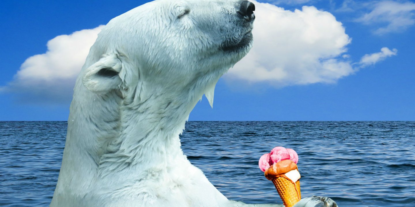 Photo: a teddy bear in a straw hat