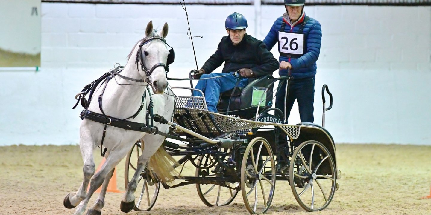 Tim and Mike ride in the back of a chariot being led by a white horse