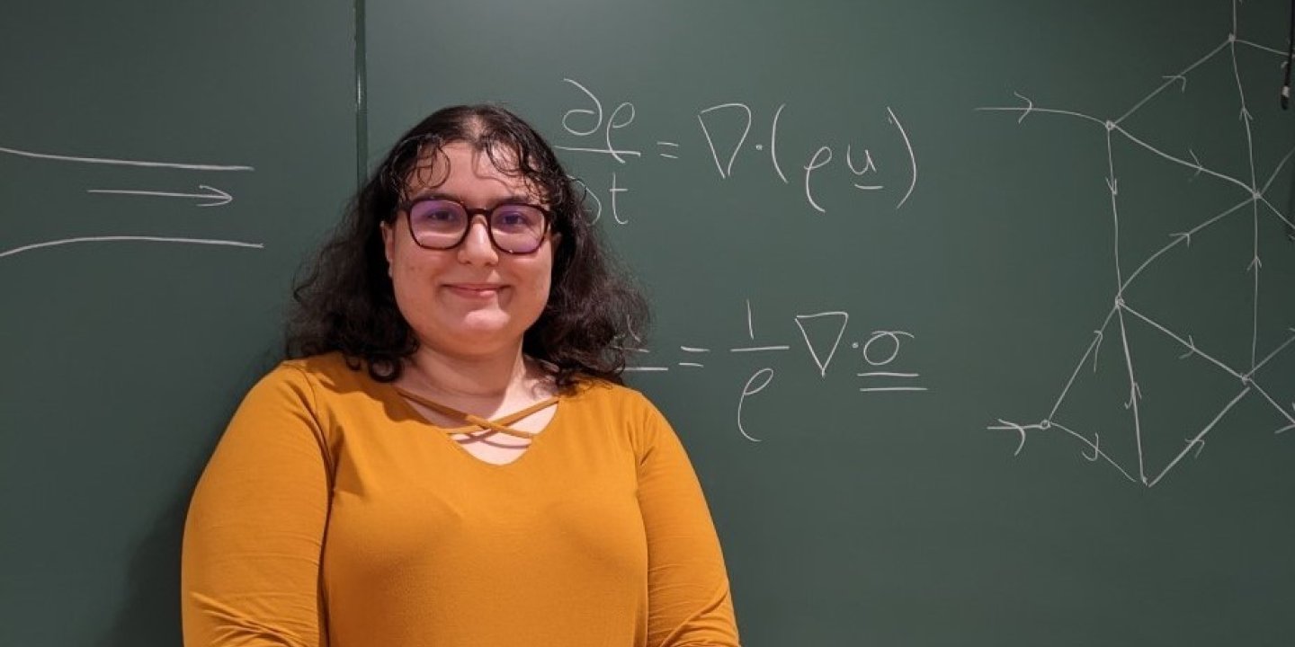 A woman with an orange top is pictured against a blackboard showing mathematical equations written in white chalk