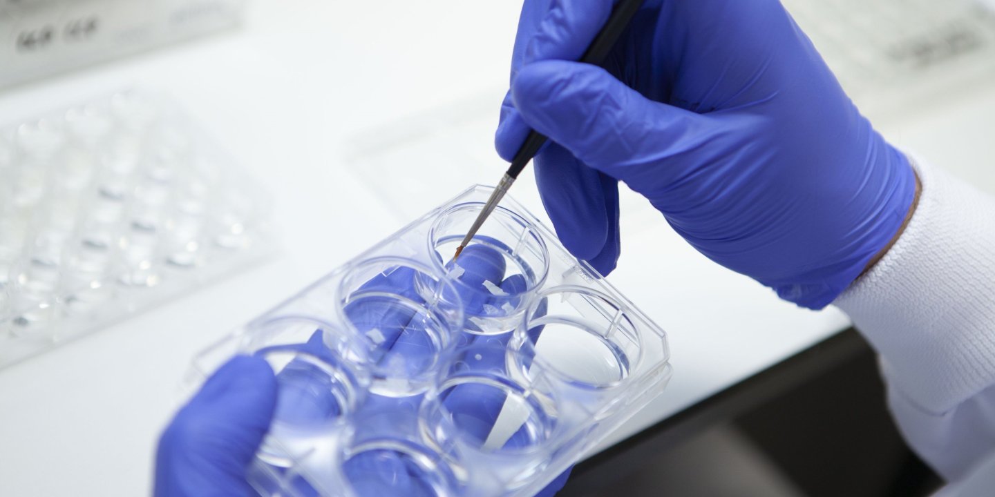 CLose up of a researcher's gloved hands at work in a lab