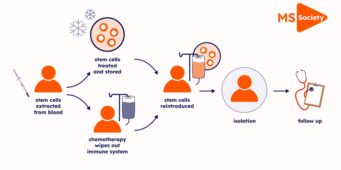 infographic shows HSCT stages, how stem cells are extracted and reintroduced after chemotheraphy is used to wipe out the immune system.