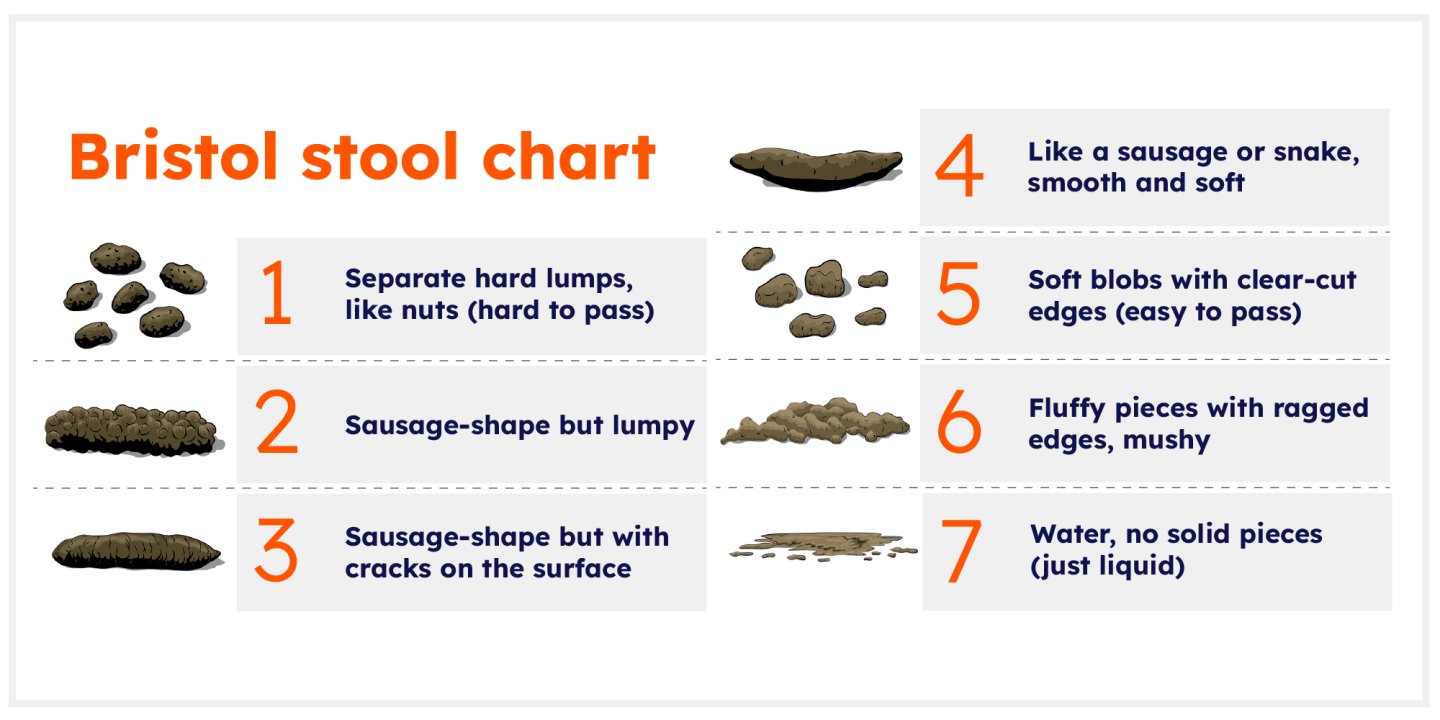 Graphic showing the Bristol stool chart