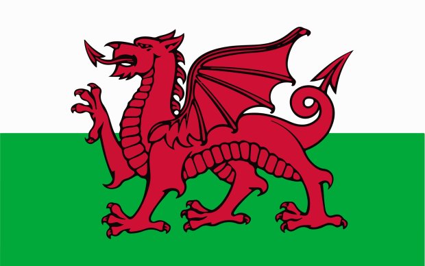 The Welsh flag, a red dragon on a green and white background. 