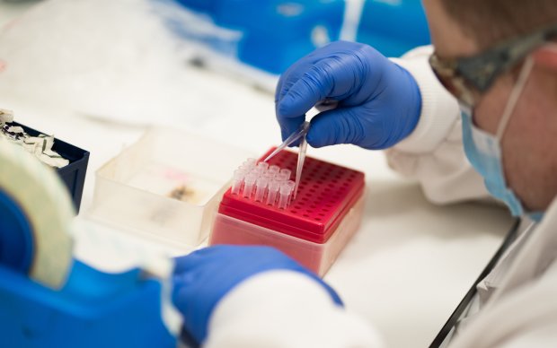 A researcher loads samples into a tray in a lab