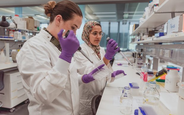 Researchers in lab
