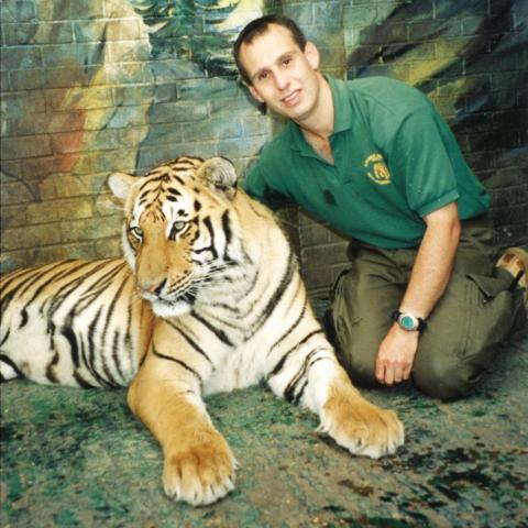 David in enclosure with arm around tiger