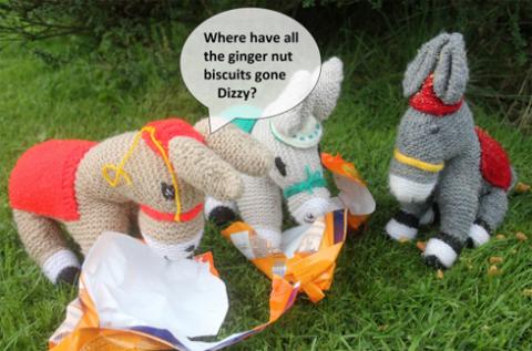 Donkey biscuits