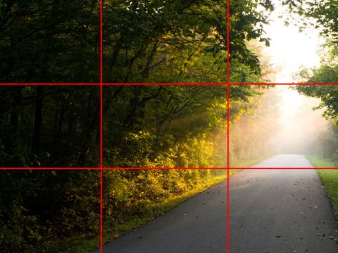 NGS rule of thirds