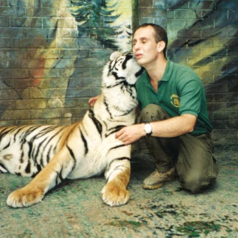 Tiger nuzzling David