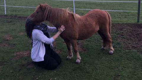 Shirley is sitting in the field with Winnie the Shetland Pony giving her a hug