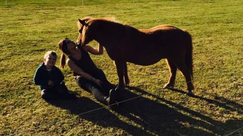 Joseph, Shirley and Winnie the Shetland Pony sit together in Winnie's field