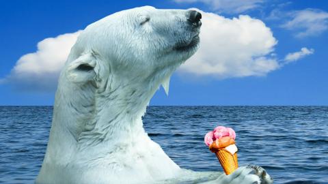 Photo: a teddy bear in a straw hat