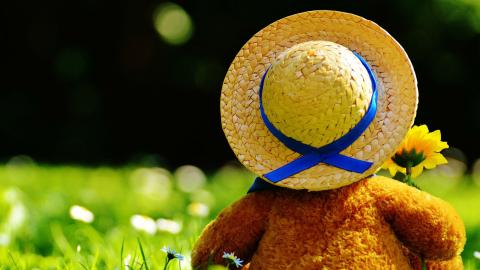 Photo: a teddy bear in a straw hat