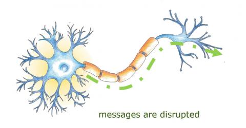 Image shows graphic of how messages are disrupted
