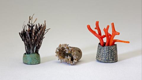 rommily 3 thimbles