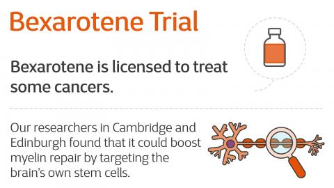Infographic introducing the Bexarotene Trial
