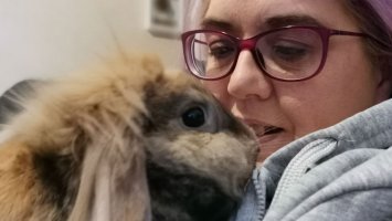 Fluffy Binky the Bunny cuddles up to owner Caroline