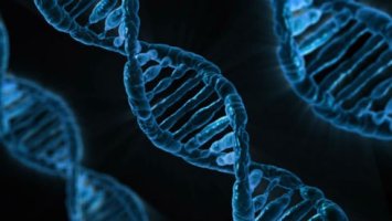 Image shows a strain of DNA under the microscope