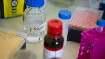 Pharmaceutical bottles and test tubes in a lab