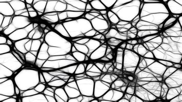 artistic impression of neurons