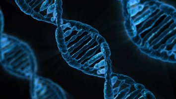 Graphic of DNA strand