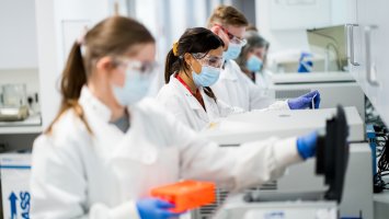a line of researchers in lab coats are all working  on specimens