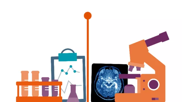 A Graphic showing the History of MS research 