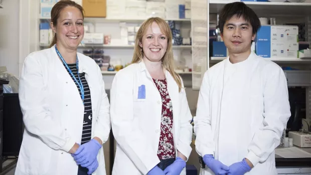 Photo: MS researchers in lab wearing gloves