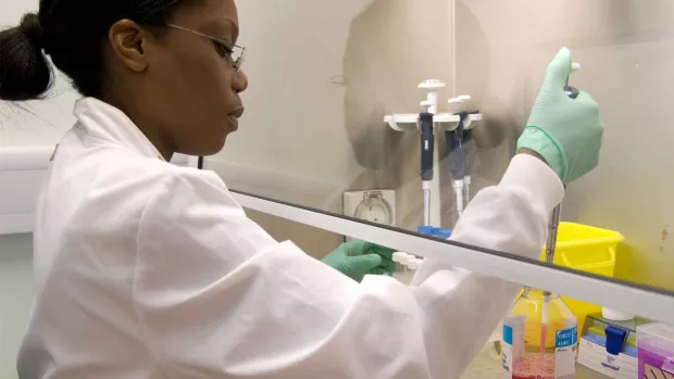 A scientist working in a lab behind a safety screen.