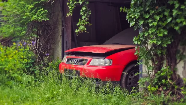Photo: car bonnet pokes out of garage shrouded in greenery.