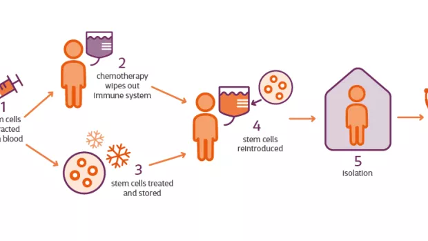 infographic shows HSCT stages, how stem cells are extracted and reintroduced after chemotheraphy is used to wipe out the immune system