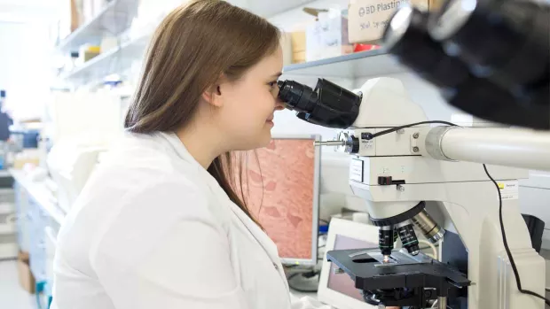 Photo: Female researcher looking through microscope