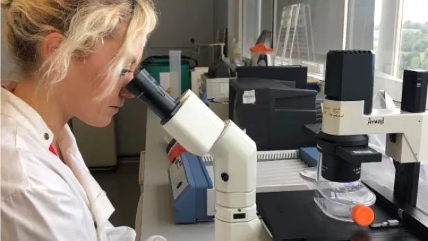 Woman researcher in lab coat using a microscope