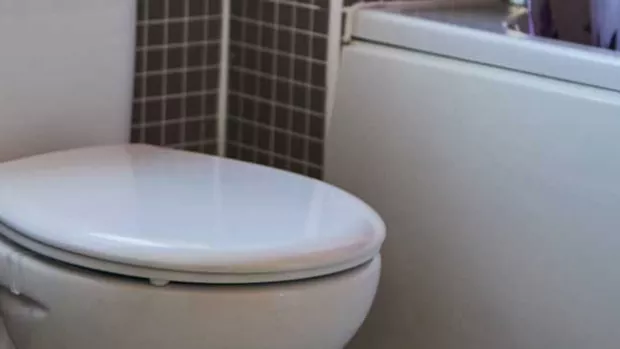 a photo of a toilet