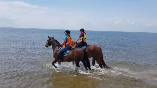 Two people riding horses in the sea
