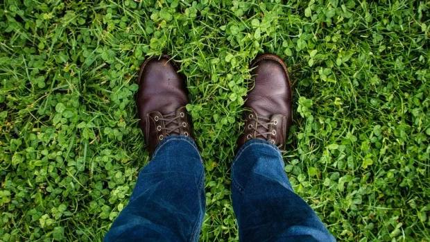 Close up of feet in brown shoes on grass