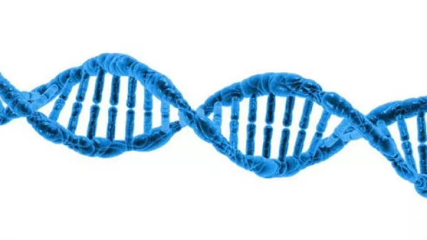 image shows a dna helix