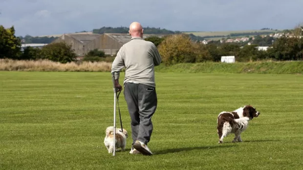 Man using a crutch while walking dogs