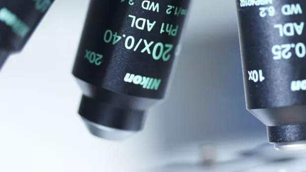 Microscope in the lab