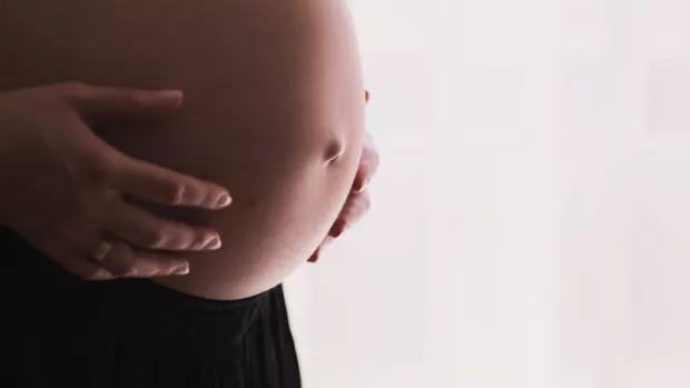 image shows a pregnant lady holding her bump