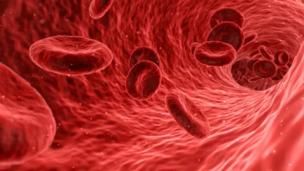 Simulated image of red blood cells