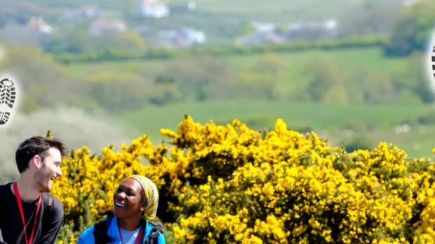 Two people walking along beside a large yellow hedge