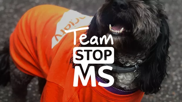 Team Stop MS Twitter banner with dog