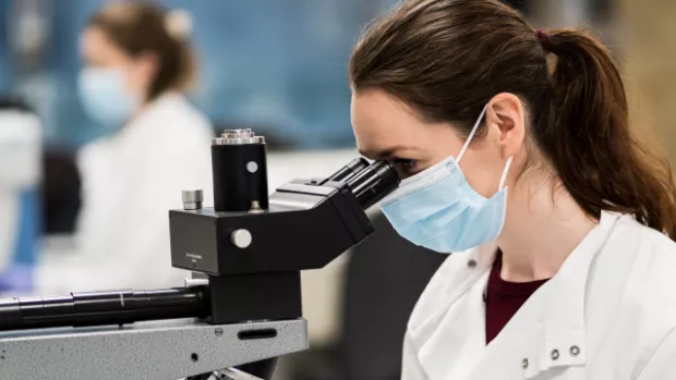 Researcher looking through microscope