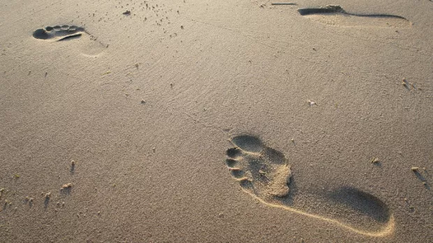 Footprints on a sandy beach