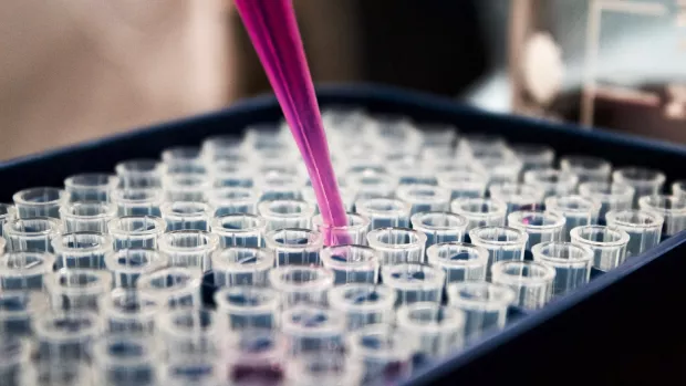 A syringe containing a pink substance is being inserted into a tray of test tubes.