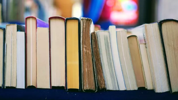 The photo shows a row of books lined up in a library