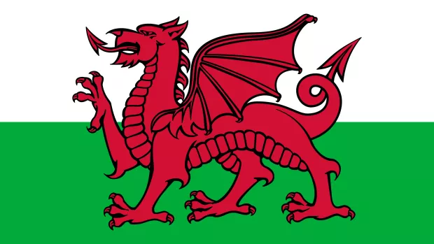 Image shows a red dragon on a background of green and white
